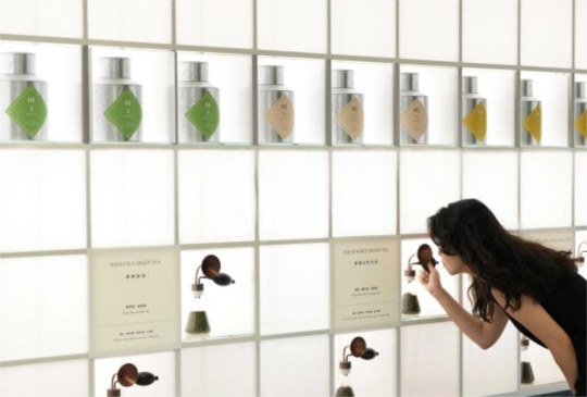 POUYUENJI HILLS寶元紀三義  沉浸式玩茶探索「世界・茶・魔法」特展即日開展